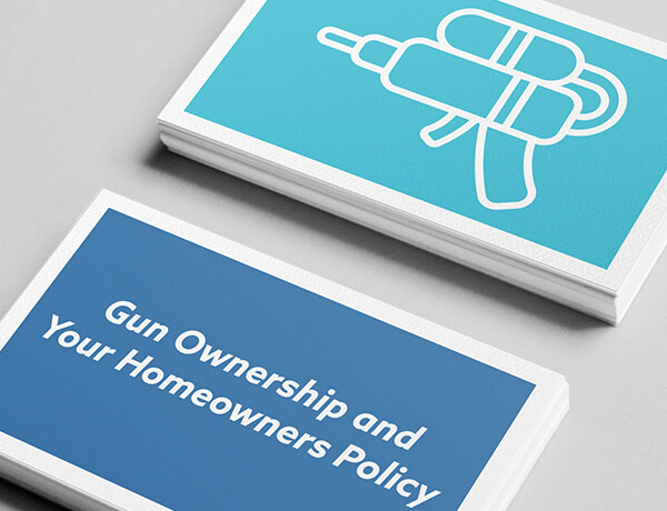GUN OWNERSHIP AND YOUR HOMEOWNERS POLICY img