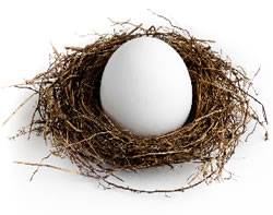 Nest with egg